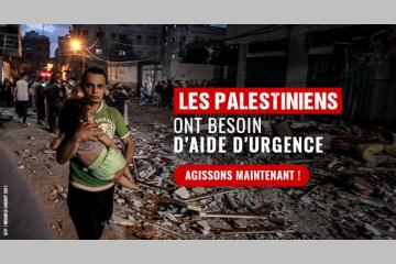 Moyen-Orient - Urgence ONG : A Gaza, en Palestine, le Secours Islamique France (SIF) prêt à apporter de l'aide humanitaire