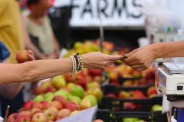 Les monnaies locales favorisent-elles l’économie circulaire ?