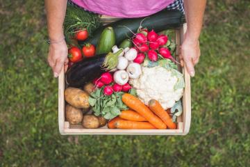 Tous les projets sont en lien avec l'alimentation durable. Crédit : iStock