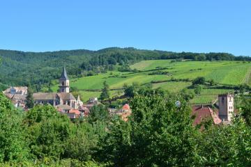 Séjours de répit : des vacances aidants-aidés en Alsace