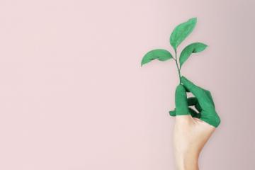Qu’est-ce qu’un label RSE ?