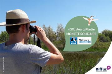 Illustration d’un homme en train d’observer les oiseaux dans un parc naturel pour participer au défi environnemental publié par la LPO sur Diffuz.