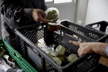 Maintient des distributions alimentaires pendant l'été