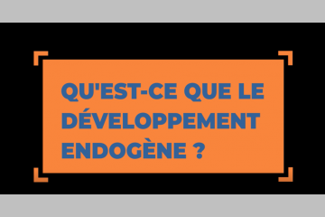 Explication du développement endogène, en image ! 