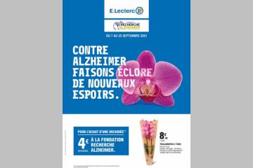 Une orchidée pour la mémoire 2021, ça commence !