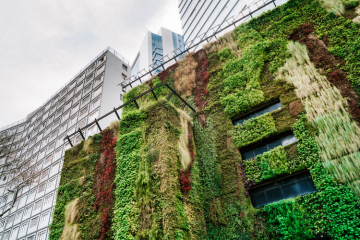 Etude | La fiscalité environnementale : les enjeux fiscaux face à la neutralité carbone