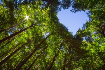 Le climat représente uniquement 2 % des dépenses philanthropiques. Source: iStock.