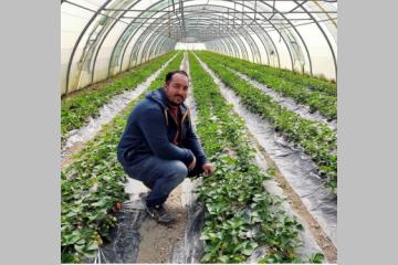 Interview de Nour AYOUCH, maraîcher dans les Bouches-du-Rhône (13)