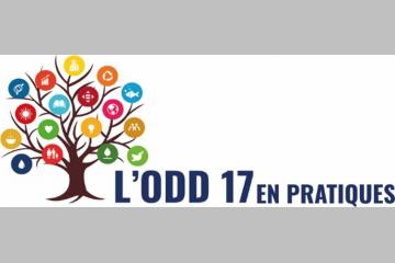 ODD 17 : De l’AMM à la VAGUE de déploiement !