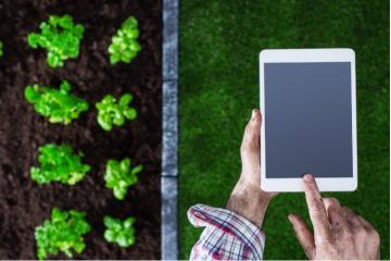 Seeed, un réseau social pour accéder aux potagers près de chez vous