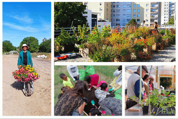 “Préservation et développement de la biodiversité” : découvrez les lauréats de notre 3e appel à projets !