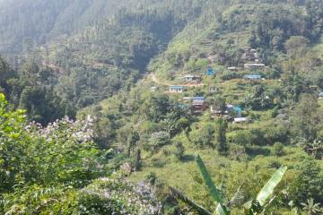 Paysage au Népal
