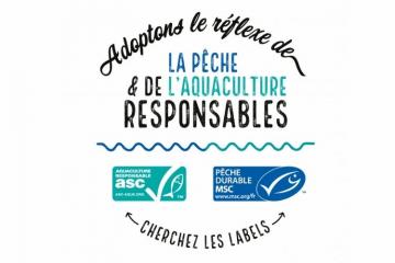 Les ONG Marine Stewardship Council (MSC) et Aquaculture Stewardship Council (ASC) s’associent pour inciter à l’action en faveur d'une consommation plus responsable 