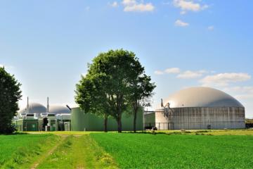 Les actions des entreprises pour la biodiversité. Source : iStock.