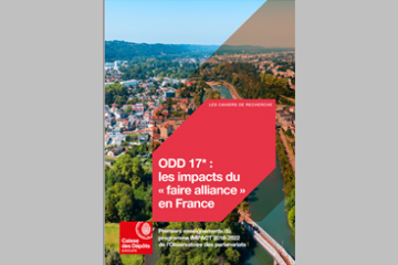ODD 17 : voyage au pays des impacts !