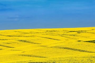 Crédit Agricole – un fonds de solidarité exceptionnel en faveur de l’Ukraine. Crédit photo : Montypeter/iStock.