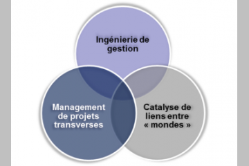 ODD 17 : la mobilisation des ingénieries nationales & territoriales 