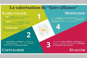 ODD 17 : Résultats de la stratégie collective du « faire alliance » en France