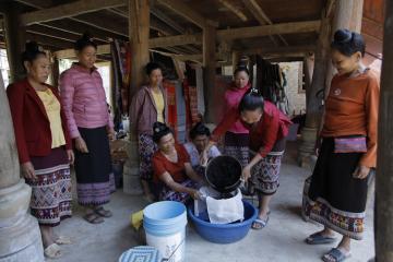 La formation professionelle en teinture végétale des tisserandes de l’ethnie Lao au Vietnam