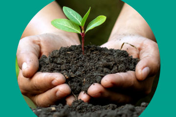 Journée internationale de la biodiversité - 22 mai