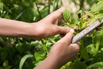 Environnement : une mobilisation sans frontières