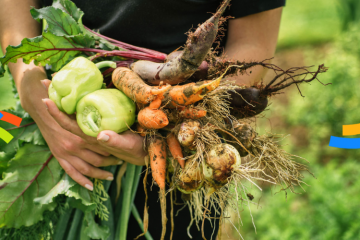 Soutenir le don agricole :  la Fondation groupe EDF engagée aux côtés de SOLAAL 