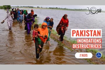 Urgences - Le Secours Islamique France (SIF) agit au Pakistan face aux inondations