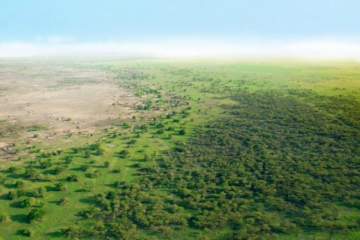 La Grande Muraille Verte vue du ciel. Photographie de Alex Baramgoto Jr pour Tchad Infos.