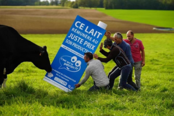 Le lait, produit phare de C'est qui le patron ?!. Crédit : C'est qui le patron ?!