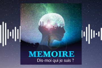 Episode 12 : Si des extraterrestres s’emparaient de notre mémoire numérique, qu’apprendraient-ils ?