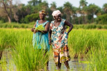 Phénomènes climatiques extrêmes et santé : comment gérer ces nouveaux risques ?