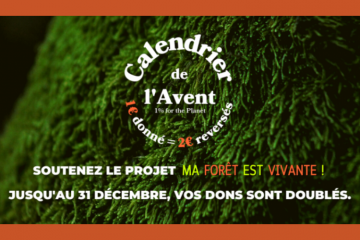 En décembre 2022, un calendrier généreux pour une forêt vivante !