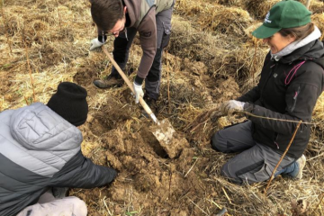 600 arbres plantés à Sainte-Pazanne