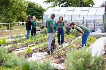 Fondation AgroParisTech : étudier la biodiversité des toits en zone urbaine pour éclairer les politiques et projets de végétalisation