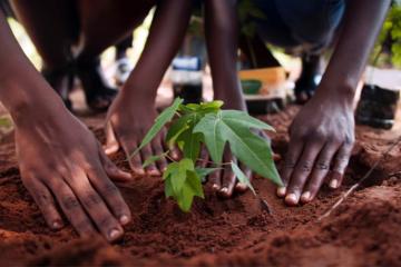 Les 5 grands enjeux de l’aide humanitaire internationale