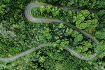 route dans la forêt