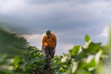 1 million d'agriculteurs d'ici 2050 ? Crédit : iStock;