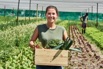 Métiers verts et verdissants : un tremplin vers l’emploi des jeunes sans diplôme