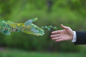 Entreprises  « nature positive » : attention au greenwashing !