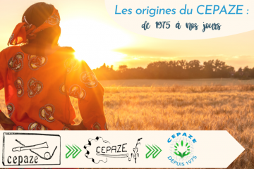 Evolution du logo du CEPAZE depuis 1975