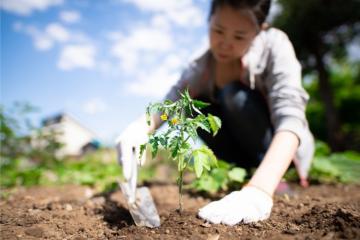 Parmi les alternatives présentées : l'insertion économique par la production de fruits et légumes biologiques. Crédits : iStock.