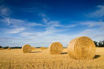 L’accaparement des terres agricoles menace le développement de l’agroécologie, d’après Terre de Liens et Les Amis de la Terre