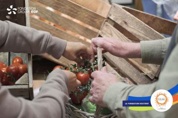 Soutenir le développement des dons agricoles de proximité en France avec SOLAAL 