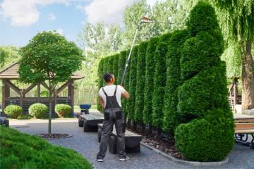 L'entretien d'espaces verts dans le top. Crédit : Istock.