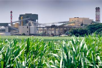 Un projet de loi pour décarboner l'industrie. Crédit : iStock.