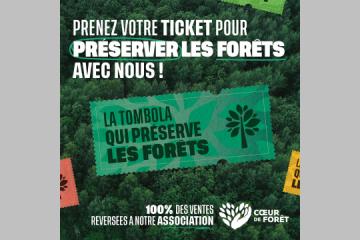 Visuel de campagne : Prenez votre ticket pour préserver les forêts avec nous !