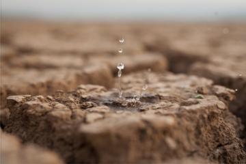 Climat : la France n’en fait pas assez selon le Haut Conseil