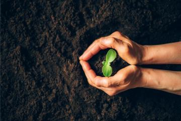 Les Soulèvements de la Terre défendent un retour à l'agriculture paysanne. Crédits : iStock.