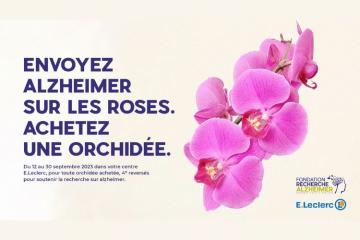 Envoyez Alzheimer sur les roses, achetez une orchidée