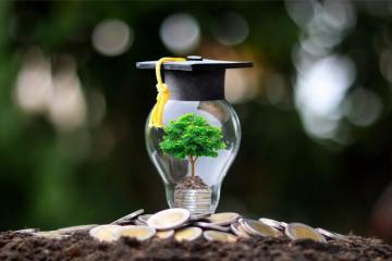 Classement : quelles sont les écoles les plus engagées dans la transition écologique et sociale ?